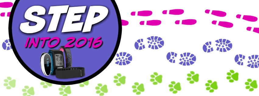 step_2016_banner